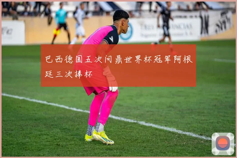 巴西德国五次问鼎世界杯冠军阿根廷三次捧杯